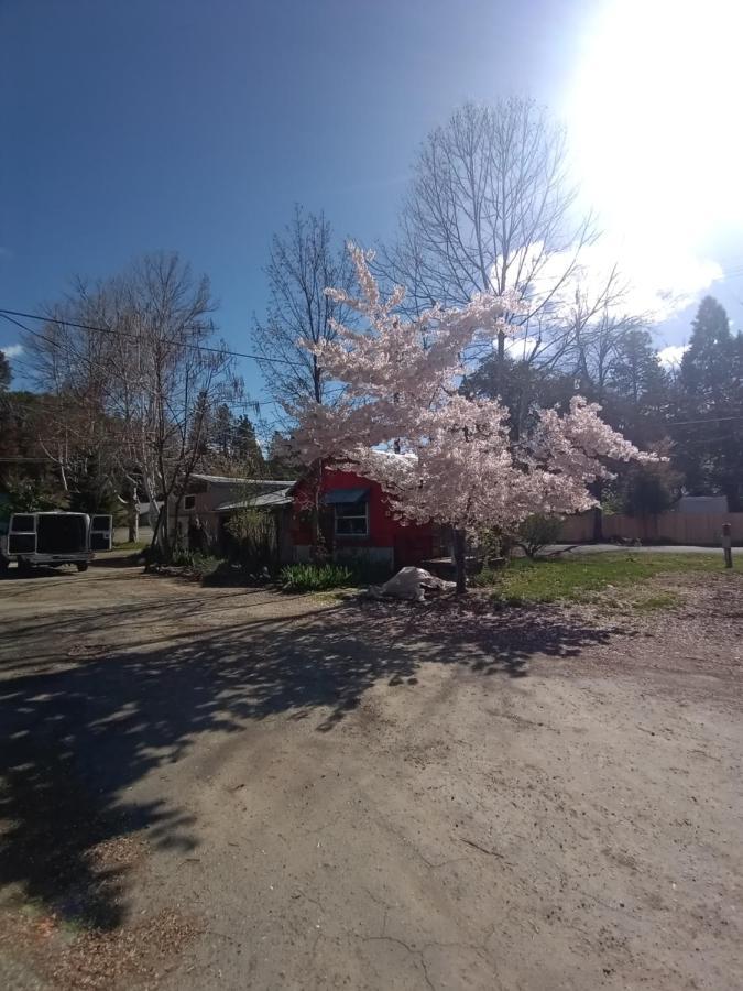 Campingplatz Bigfoot Rv & Park